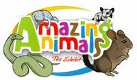 Amazing Animals Exhibit - The Center For Science Teaching and Learning - Rockville Centre, Long Island, New York