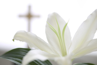 Easter Services - Holy Week - Long Island, New York