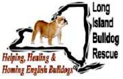 Long Island Bulldog Rescue - English Bulldog Dog Rescue Long Island, New York